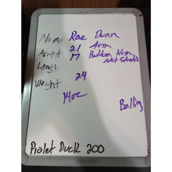 Rae Dunn Sweater Womens Large LOVE Pullover Crewneck Valentine Cozy Knit Soft - Picture 6 of 6